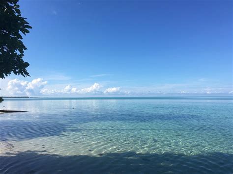 THE 5 BEST Tawi.